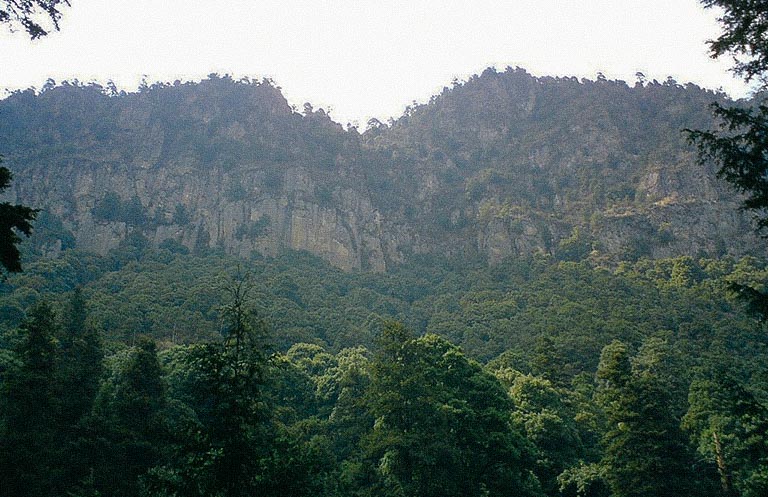 Foto de la nota Vista del Bosque de los Dinamos 